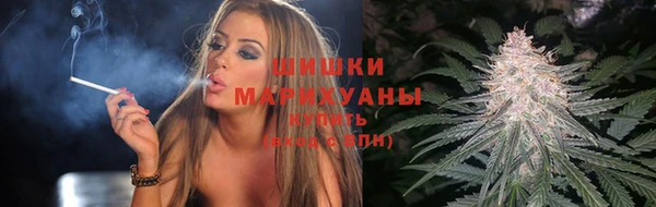 индика Магас