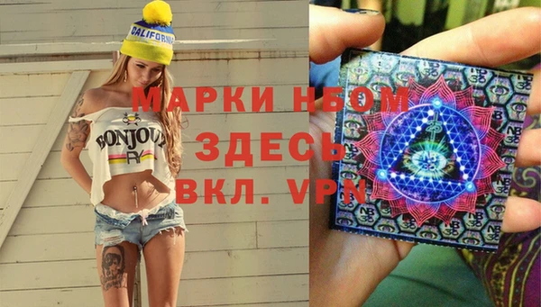 индика Магас