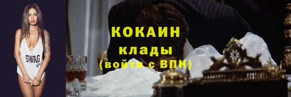 индика Магас