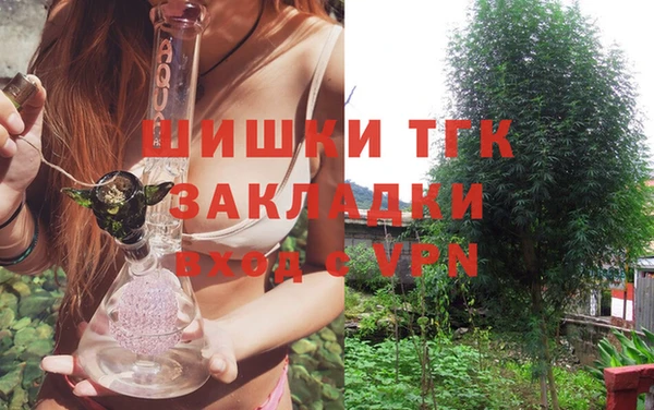 индика Магас