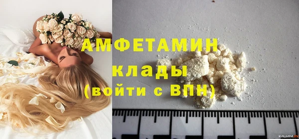 индика Магас