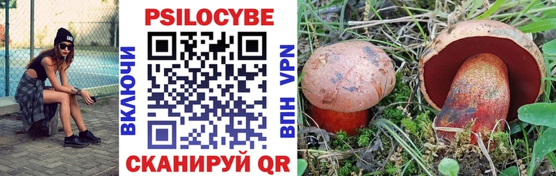 Галлюциногенные грибы ЛСД  где купить наркотик  гидра   Циолковский 