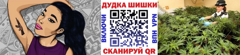 Канабис SATIVA & INDICA цены Циолковский